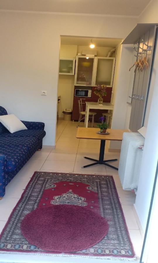 Kaunas Downtown Apartments Екстериор снимка