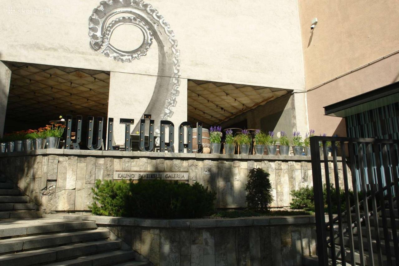 Kaunas Downtown Apartments Екстериор снимка