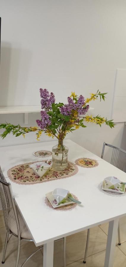 Kaunas Downtown Apartments Екстериор снимка